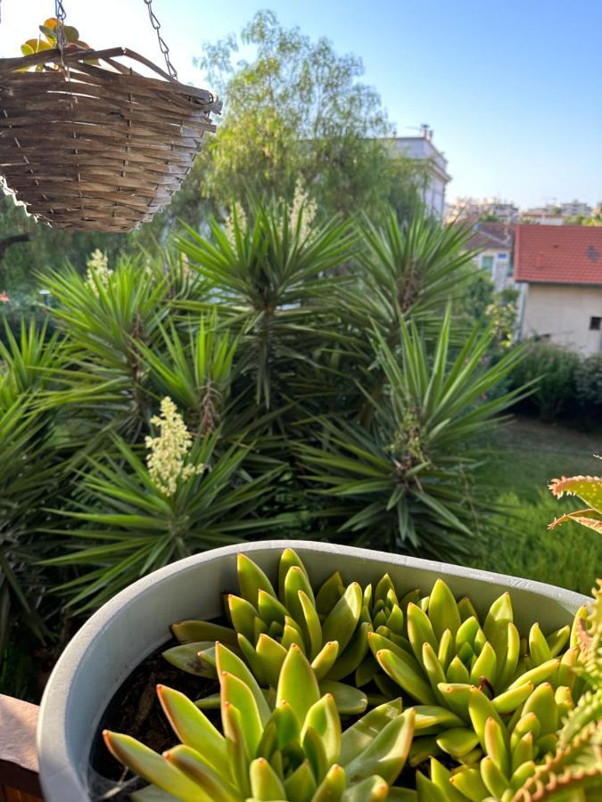 Location De Chambre Privee Dans Residence Prive, Jardins Et Parking Gratuit 1 Min To Tramway Et 9 Min De Centre-Ville, Accessibilite A Plusieurs Transports Nice Exterior foto